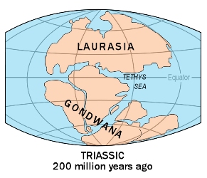 antarktida13.jpg
