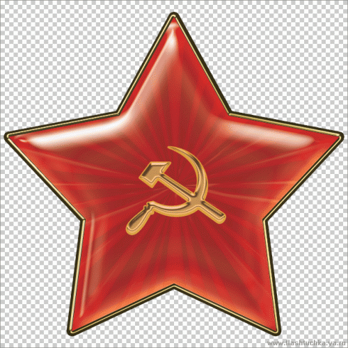 zv.gif
