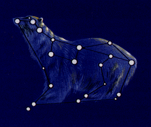 bol medv2.gif
