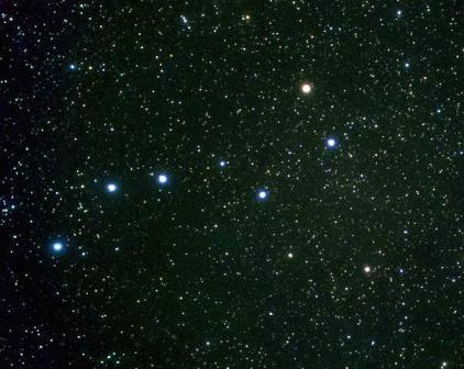 bol medvad.jpg