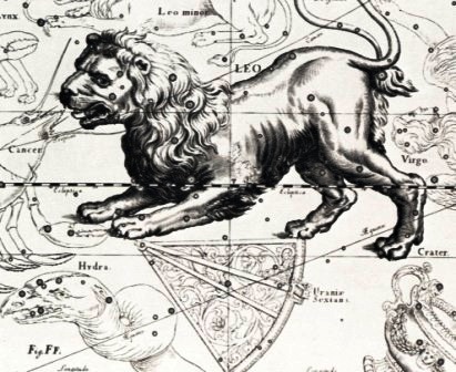sozv lion.jpg