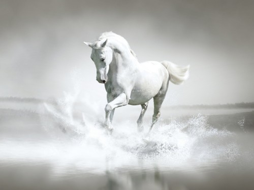 White-Horse-Water.jpg
